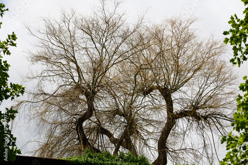 Art sketches. Breton village. Brittany. France
