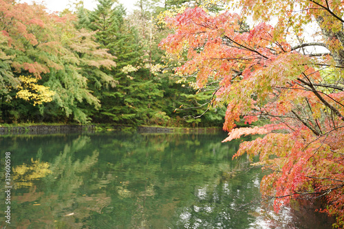 Beautiful autumn landscape with reflection on the water at Kumoba pond Karuizawa photo