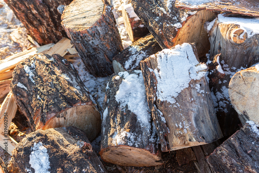 Preparation of firewood for the winter Preparation of firewood for the winter