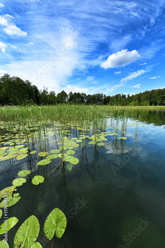 Fototapeta Naklejka Na Ścianę i Meble -  Beautiful summer day on masuria lake district in Poland