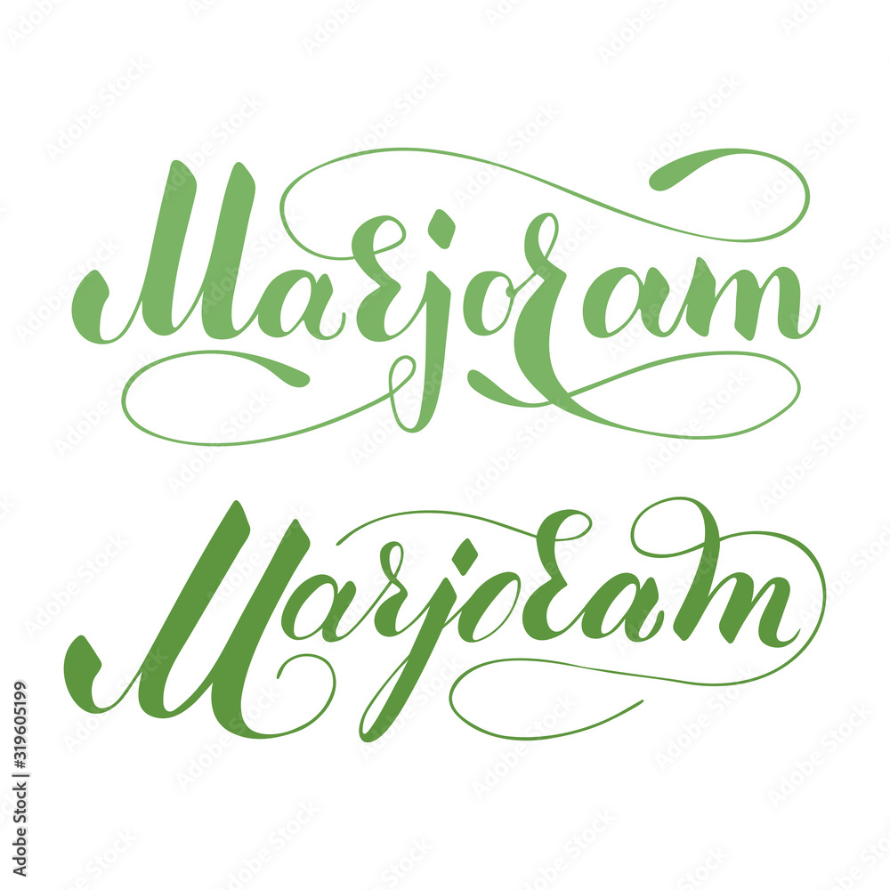 Obraz premium Vector hand written marjoram text isolated on white background. Kitchen healthy herbs and spices for cooking. Script brushpen lettering with flourishes. Handwriting for banner, poster, product label