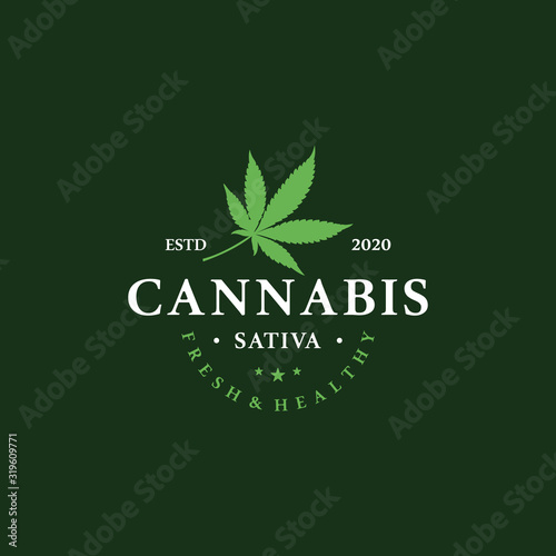 Marijuana health medical cannabis logo designs vector hemp cbd oil extract green leaf