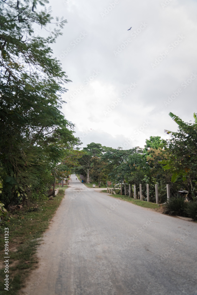 Landscape views in Vinales, Cuba. Landscape views in Vinales, Cuba.