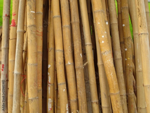 Old bamboo can be used for agricultural use.