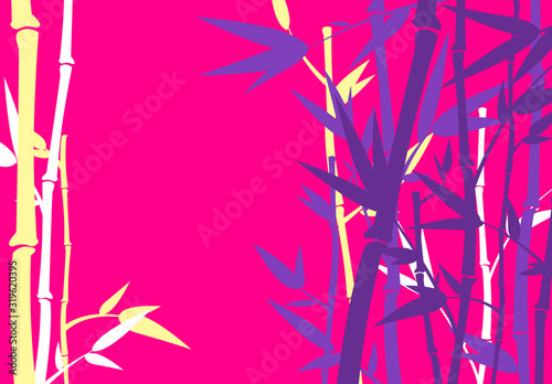 the silhouette of Bamboo grove