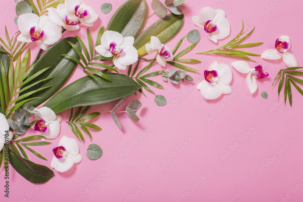 Fototapeta premium orchid flowers and green leaves on pink paper background