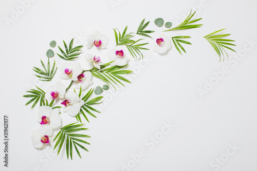 orchid flowers and green leaves on white background © Maya Kruchancova