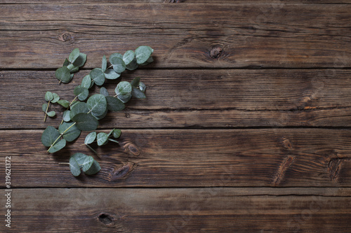 eucalyptus on old dark wooden background