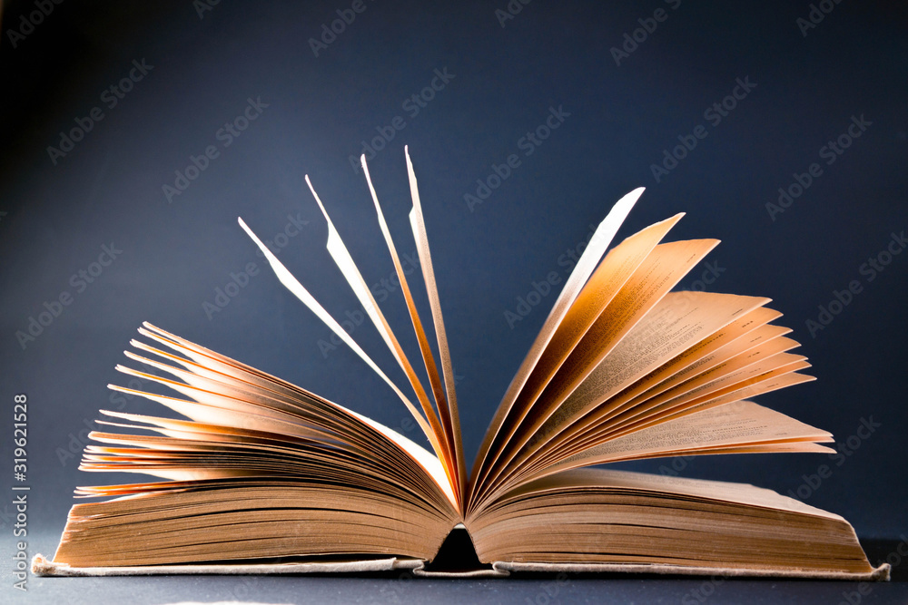Fototapeta premium Old opened book on a dark background