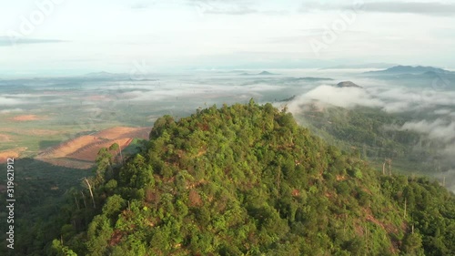 Aerial view using drones showing Forestry and oil palm trees in Malaysia.