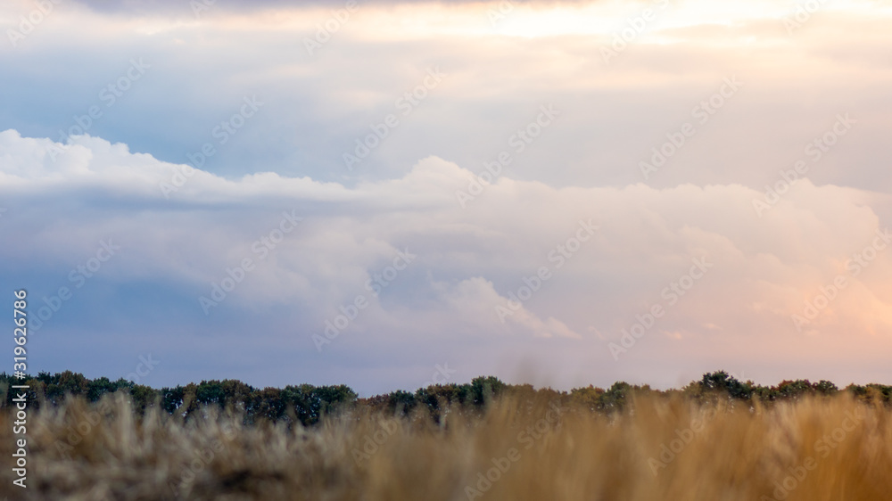 Obraz premium texture of a colorful sky with a clouds