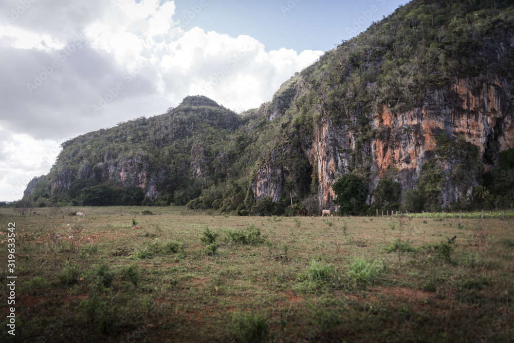 Fototapeta premium Farm land near the mountains in Cuba.