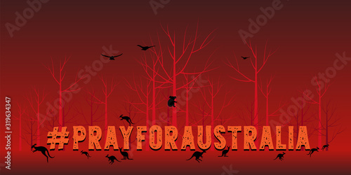 Problems forest fire in Australia,Pray for Australia and forest fire background