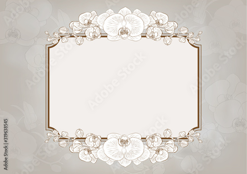 orchid flowers frame