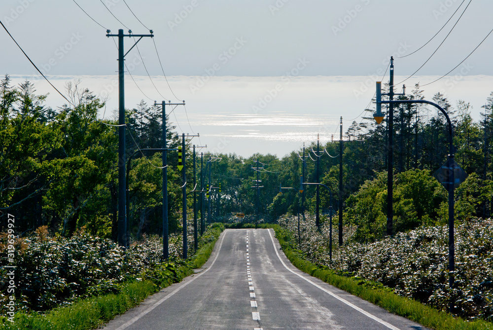 海の輝く光の道と直線道路