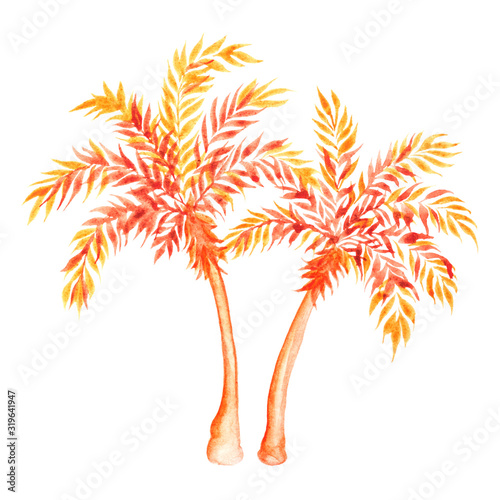Golden palm tree isolated on white background. Watercolor illustration. 