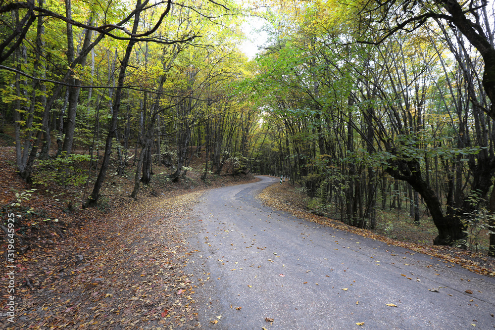 Obraz premium winding mountain road