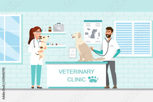 Veterinarian and doctor with dog and cat on counter in vet clinic