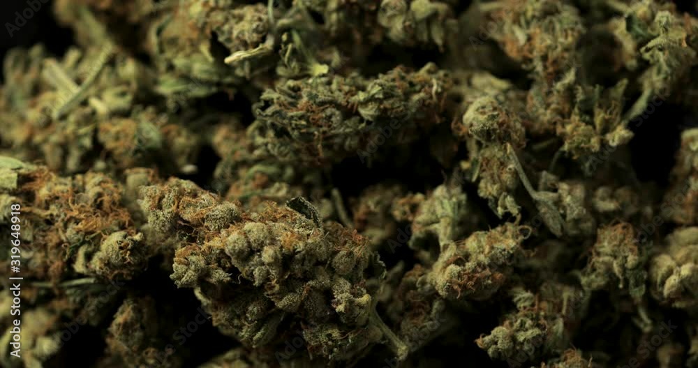Close up makro shot of 360 degree rotating loop of ripe, dried high quality cannabis marijuana flower buds with shallow depth of field Close up makro shot of 360 degree rotating loop of ripe, dried high quality cannabis marijuana flower buds with shallow depth of field