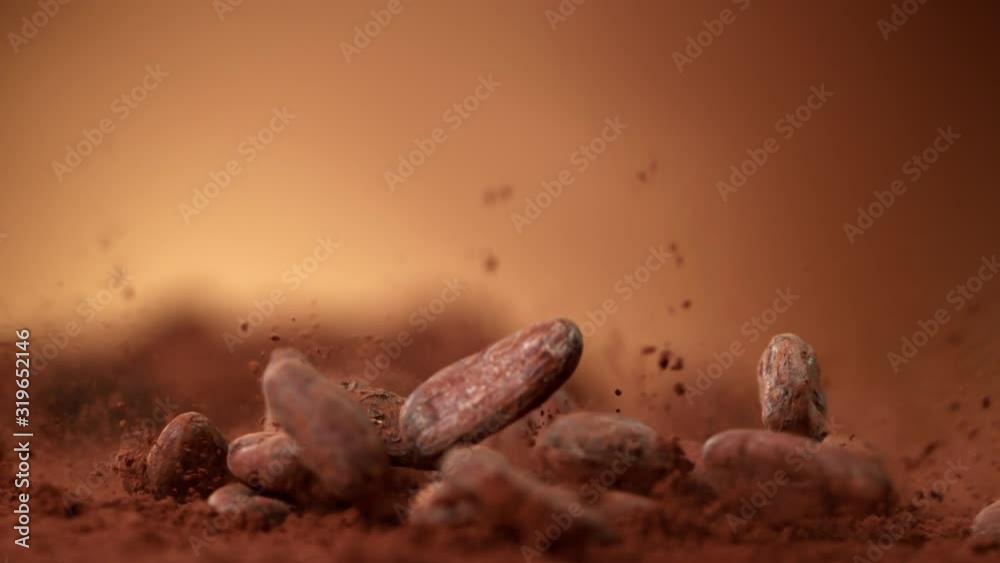 Super Slow Motion Shot of Raw Chocolate Beans Falling into Cocoa Powder at 1000fps.