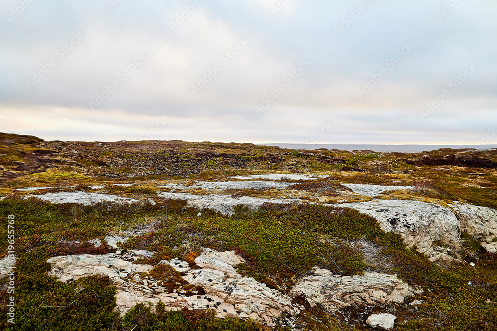 Tundra landscape in the north of Norway or Russia