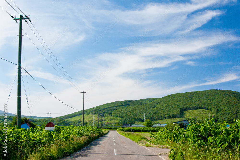 北海道松内町の雲と丘と青空景
