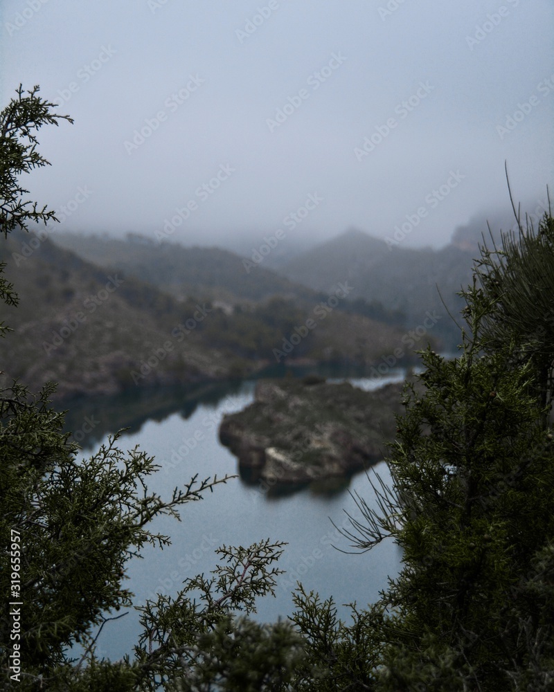 vista de un lago atraves de un arbusto en un dia nublado