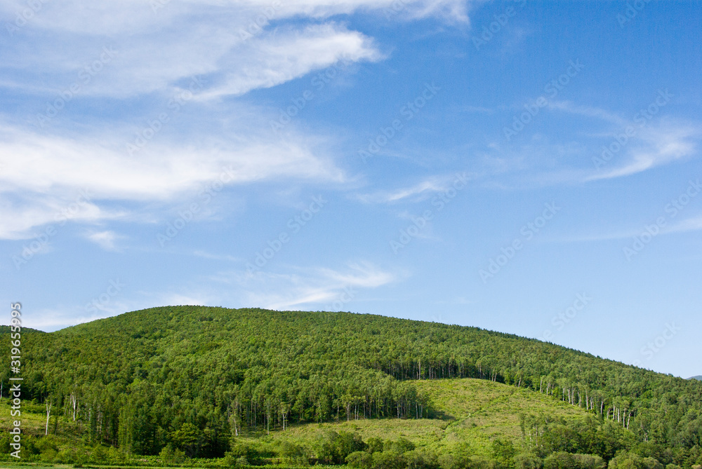 Obraz premium 北海道松内町の雲と丘と青空景