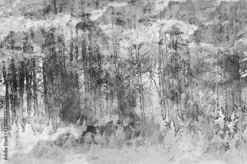 Naklejka Dzieło sztuki abstrakcyjnej przedstawiające ciemny las z brzozami. Różne środki przekazu