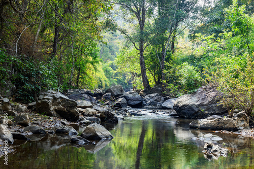 rocks in creek or stream flowing water