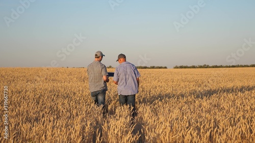 farmer and businessman with tablet working as a team in field. agronomist and farmer are holding a grain of wheat in their hands. Harvesting cereals. business man checks the quality of grain.