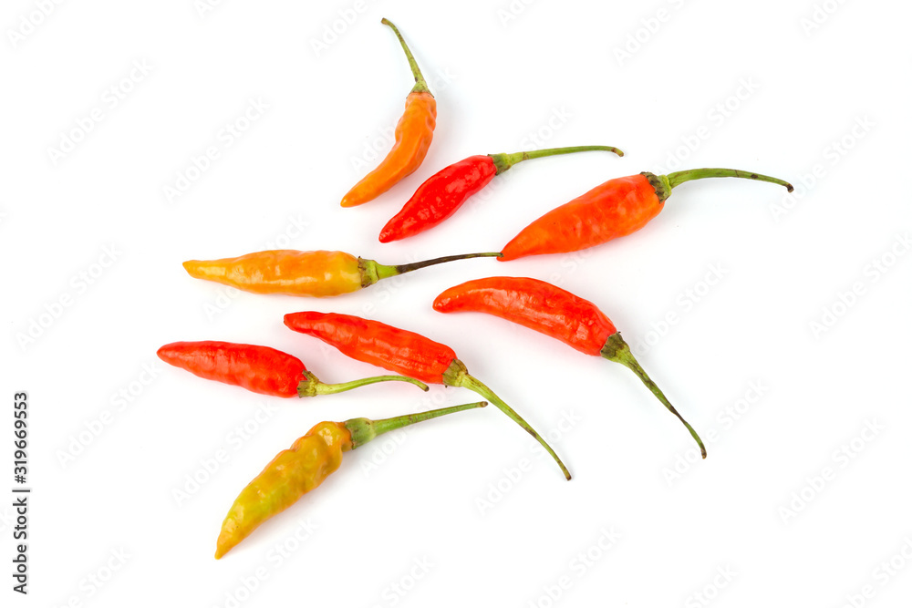 Fresh green and red chilli on white background. nature food Fresh green and red chilli on white background. nature food