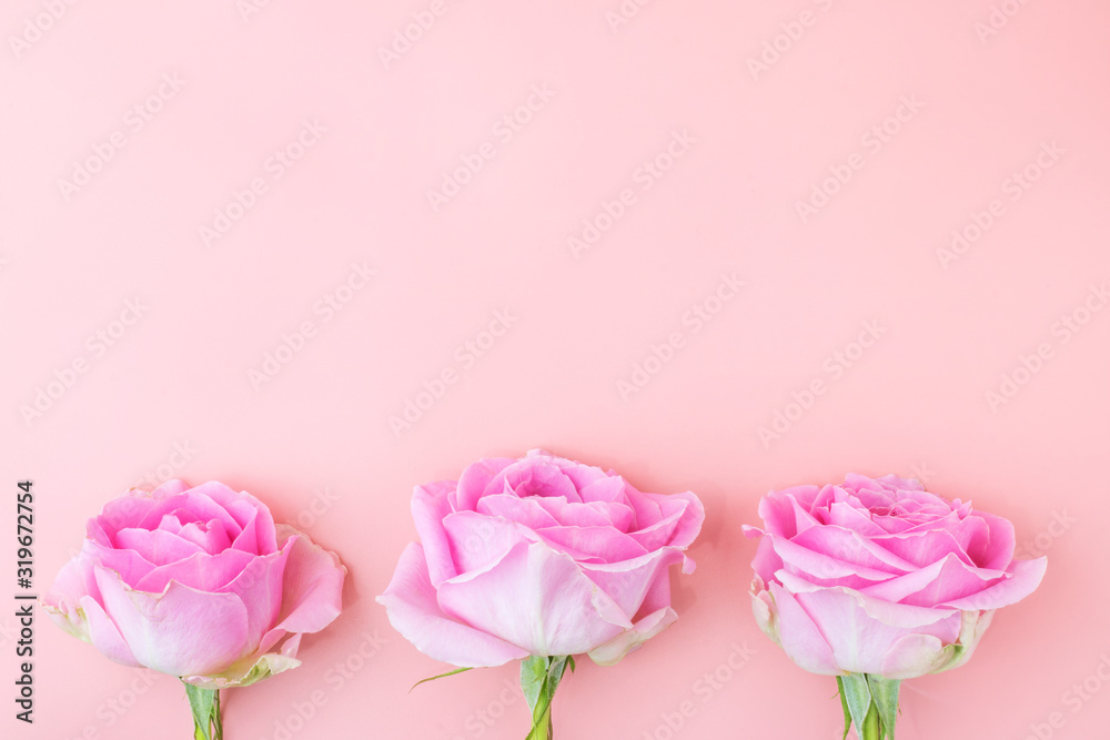 Frame of pink roses in pastel shades. Pink roses on a pink background. Concept romantic greeting card congratulation on Valentine's Day, International Women's Day, wedding or anniversary. Copy space
