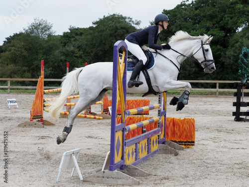 Showjumping Horse