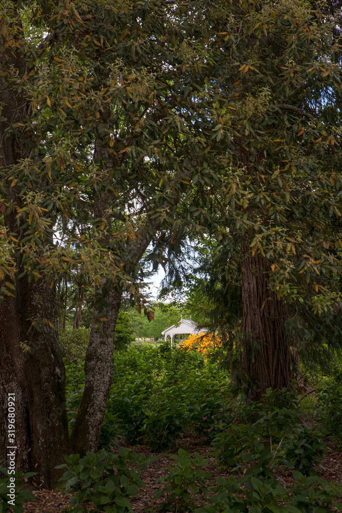 Woodlands Cambridge. Estate. Hamilton. New Zealand. Garden. Woodlands Cambridge. Estate. Hamilton. New Zealand. Garden.