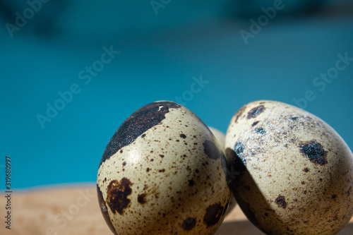quail eggs on a tree blue background, close-up, copy space