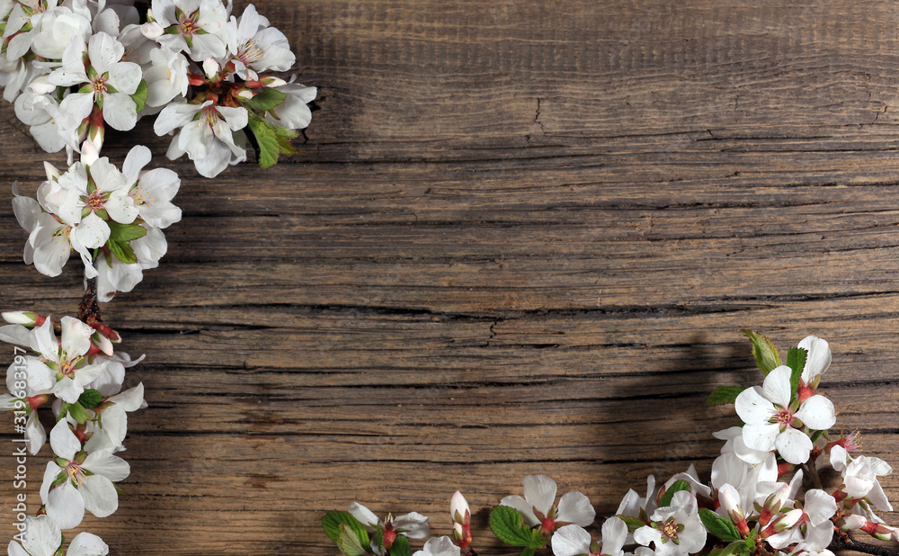 Flowers of apple on a wooden background