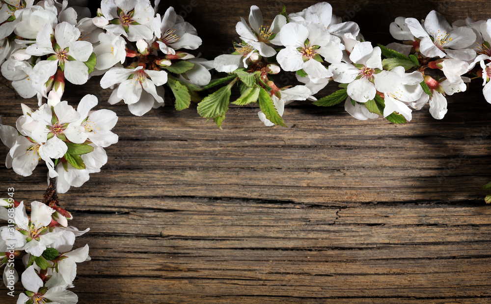 Flowers of apple on a wooden background Flowers of apple on a wooden background