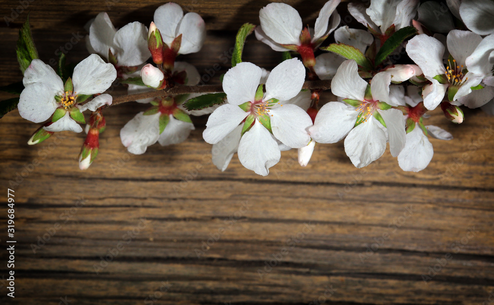 Flowers of apple on a wooden background Flowers of apple on a wooden background