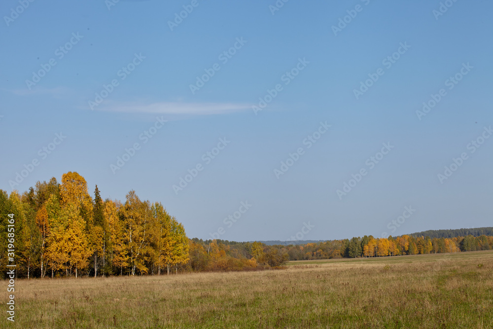 Autumn landscape with yellow foliage and blue sky