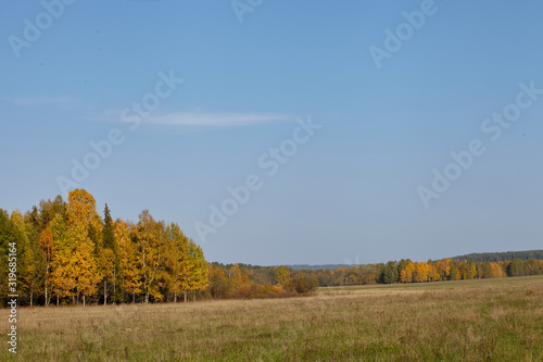 Autumn landscape with yellow foliage and blue sky