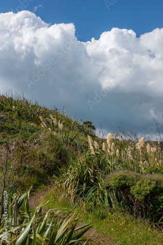 Karekare Auckland New Zealand. Coast. 