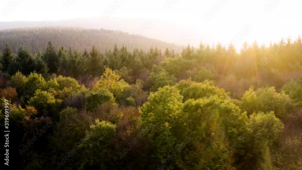 Aerial shot of the first rays of sun in the morning over forests on hilltops Aerial shot of the first rays of sun in the morning over forests on hilltops