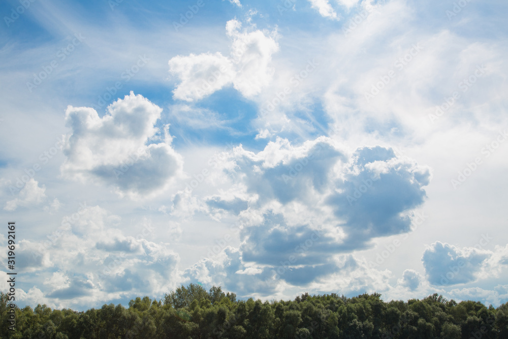 Beautiful sunny blue sky and fluffy white clouds. Green tops of trees growing in forest in countryside. Beautiful sunny blue sky and fluffy white clouds. Green tops of trees growing in forest in countryside.