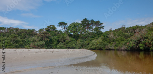 Rivermouth. Ngataki stream. Rarawa Beach. Mangrove. Henderson Bay. Northland New Zealand. Coast