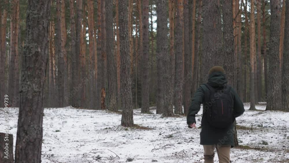 A man is running through the woods from the camera into the distance. A man is running through the woods from the camera into the distance.