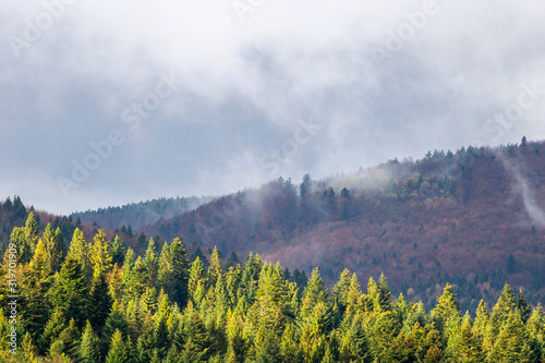  Mystic cloudy and foggy autumn Carpathian Mountains. mountain slopes scene. Natural wallpapers, autumn Carpathian slopes. Unique natural and weather moments.