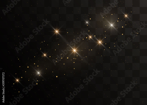 Glittering gold particles of fairy dust. Sparks glitter special light effect. Vector glitters on a black background.