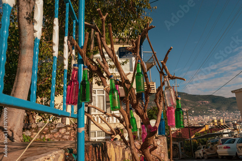 Baum mit Bunten Flaschen. photo