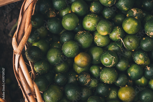 Photos Basket full of organic unripe and ripe Calamansi or kalamansi AKA calamondin or Philippine lime